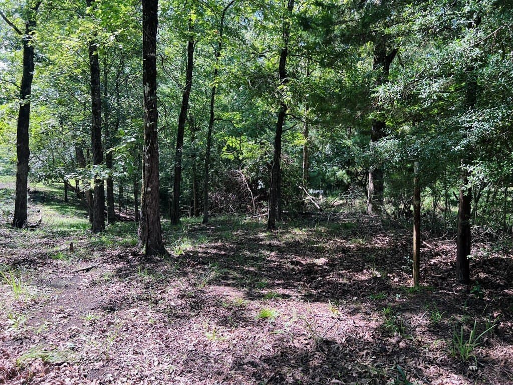 0.83 acres in Texas County - photo 9