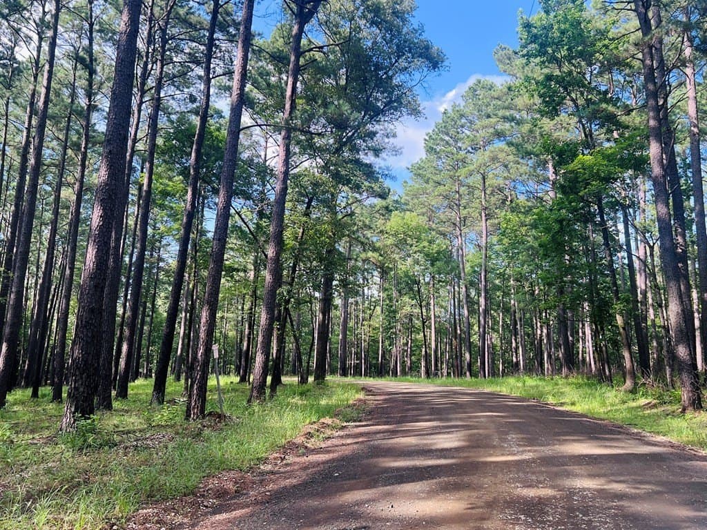 0.83 acres in Texas County - photo 15