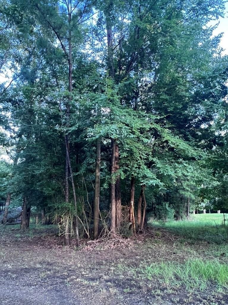 0.83 acres in Texas County - photo 7
