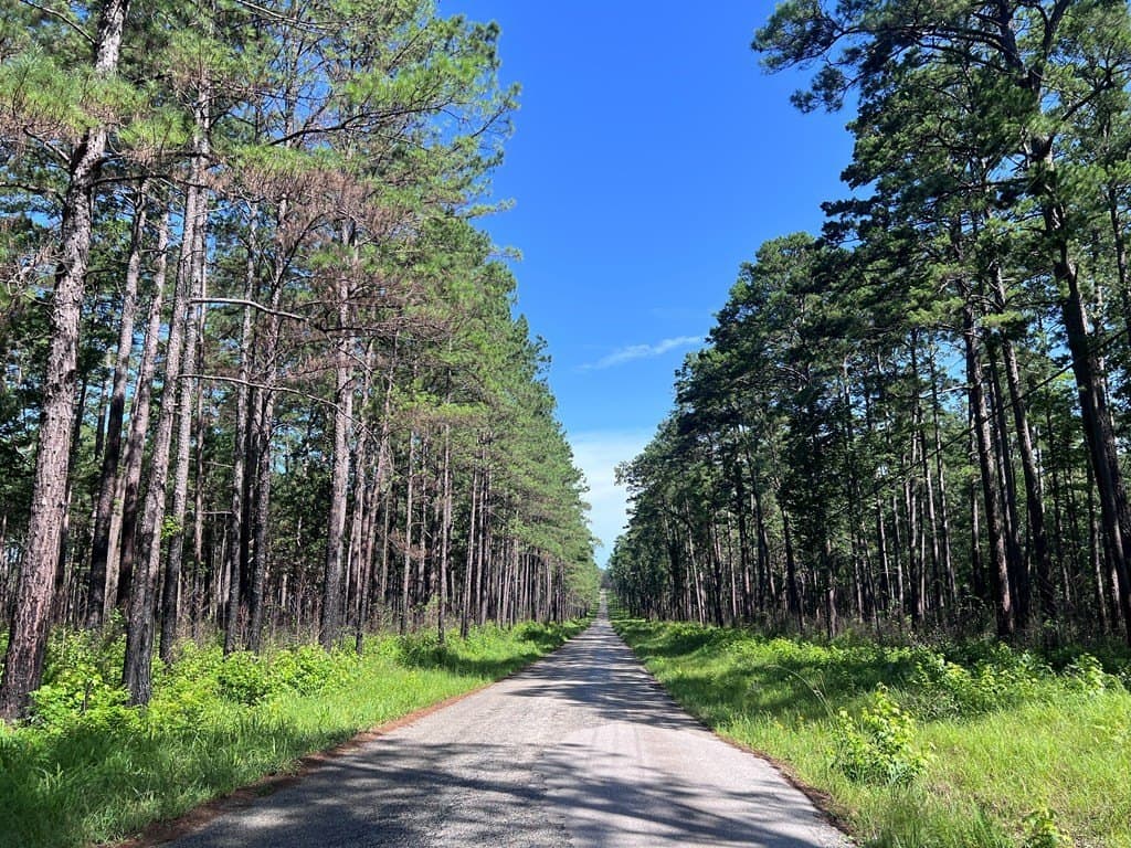 0.83 acres in Texas County - photo 12