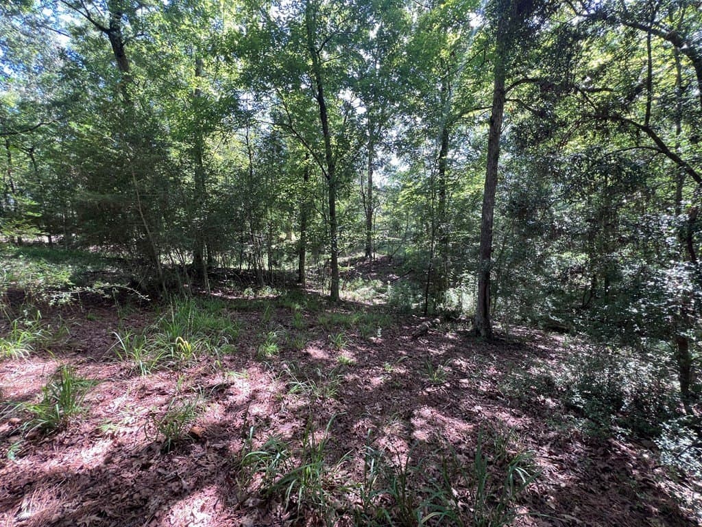0.83 acres in Texas County - photo 8