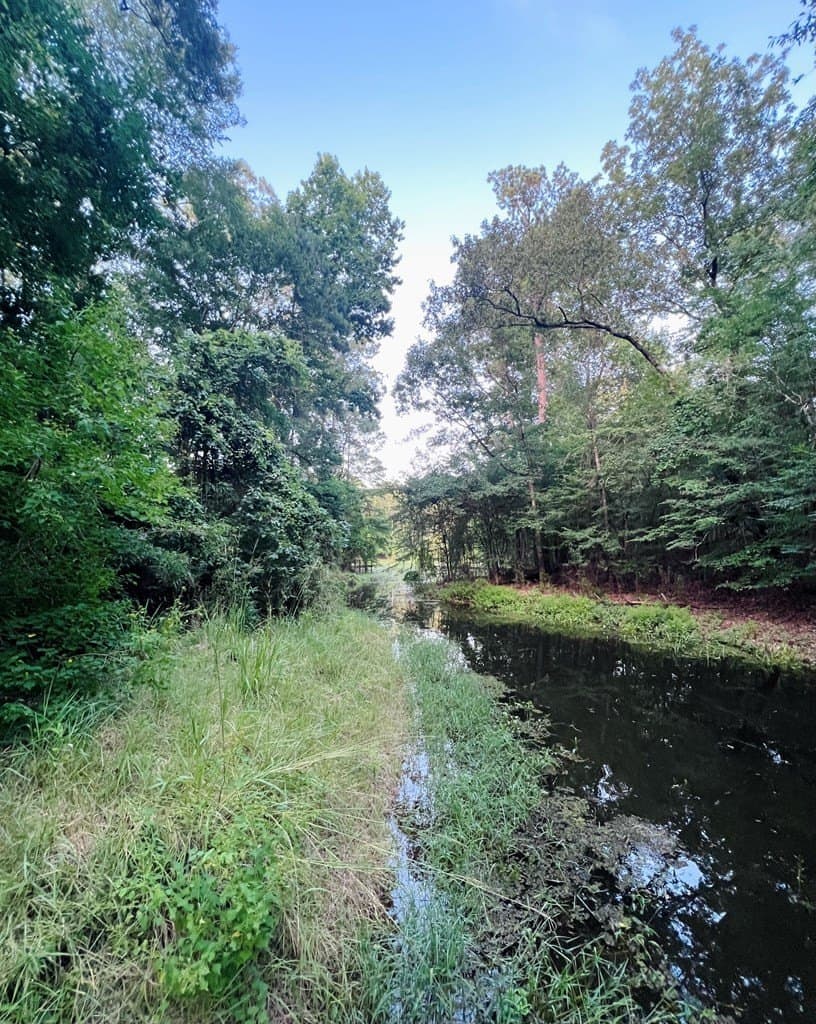 0.83 acres in Texas County gallery image 3