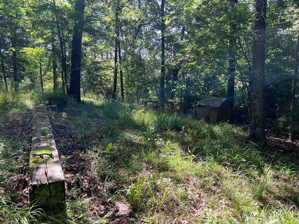 0.83 acres in Texas County - photo 10