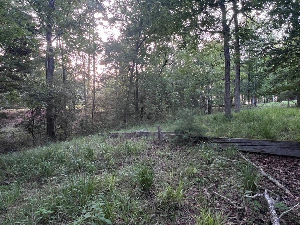 0.83 acres in Texas County - photo 11