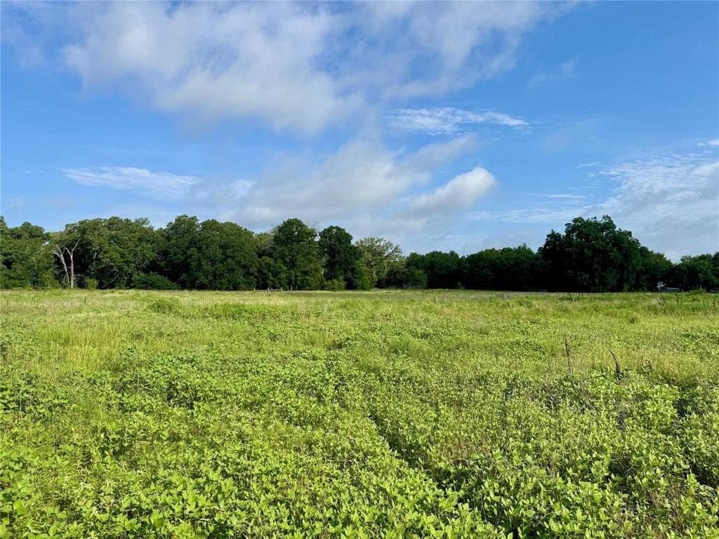 4.82 acres in Kaufman County gallery image 3