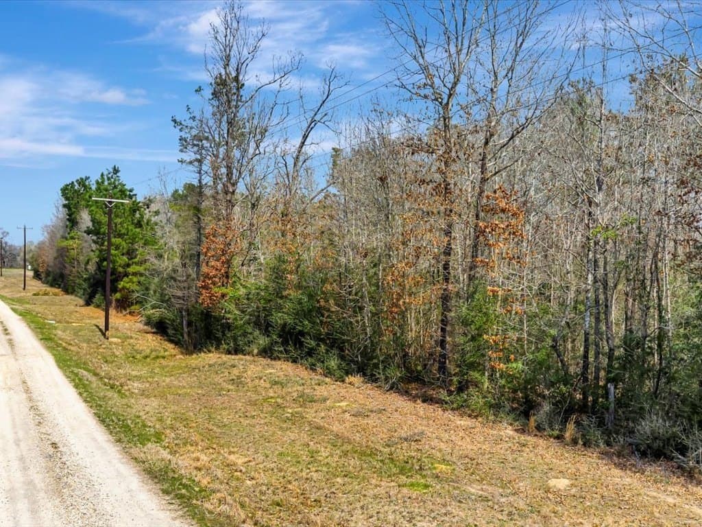 41.84 acres in Texas County - photo 9