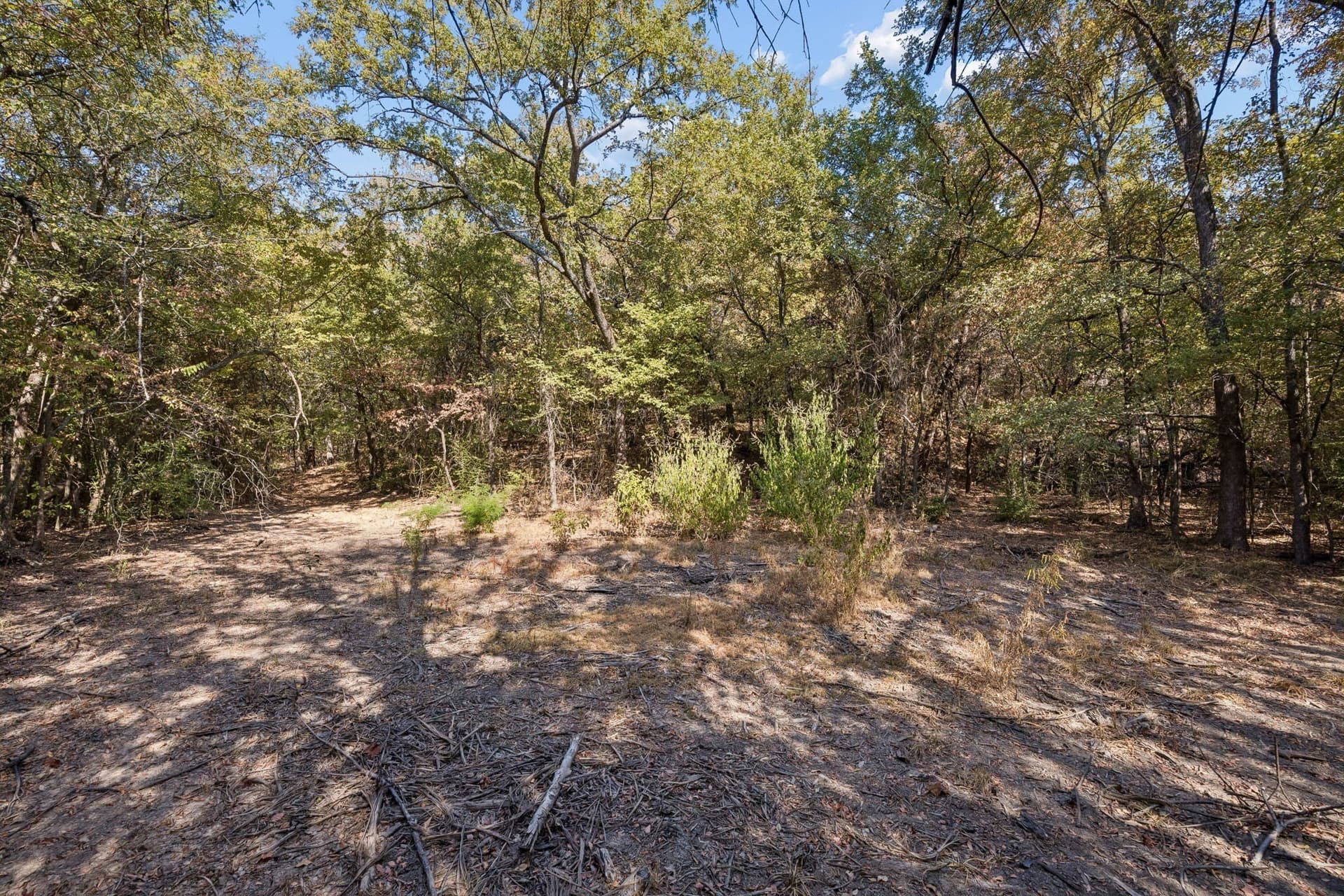 10.63 acres in Denton County - photo 26