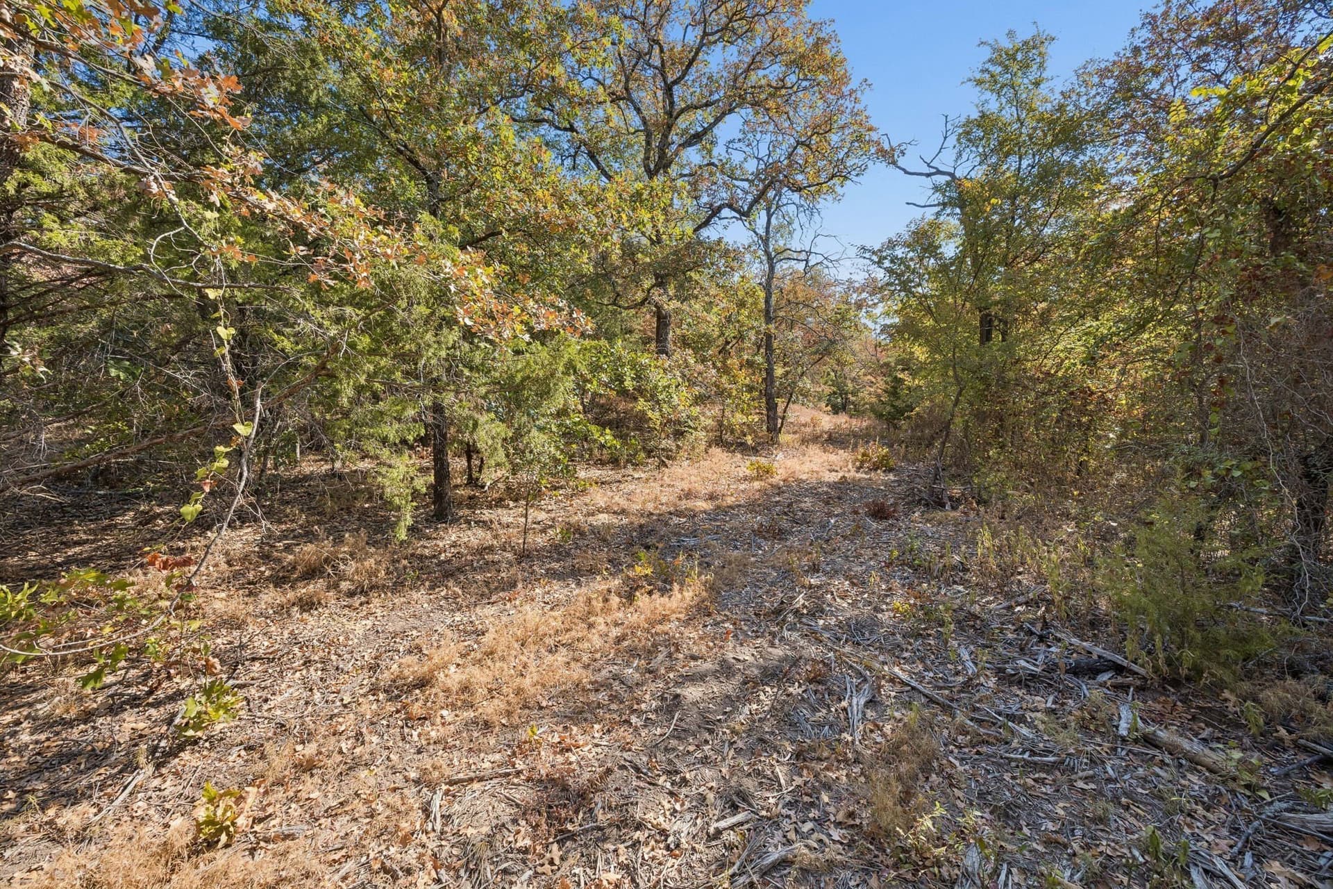 10.63 acres in Denton County - photo 18