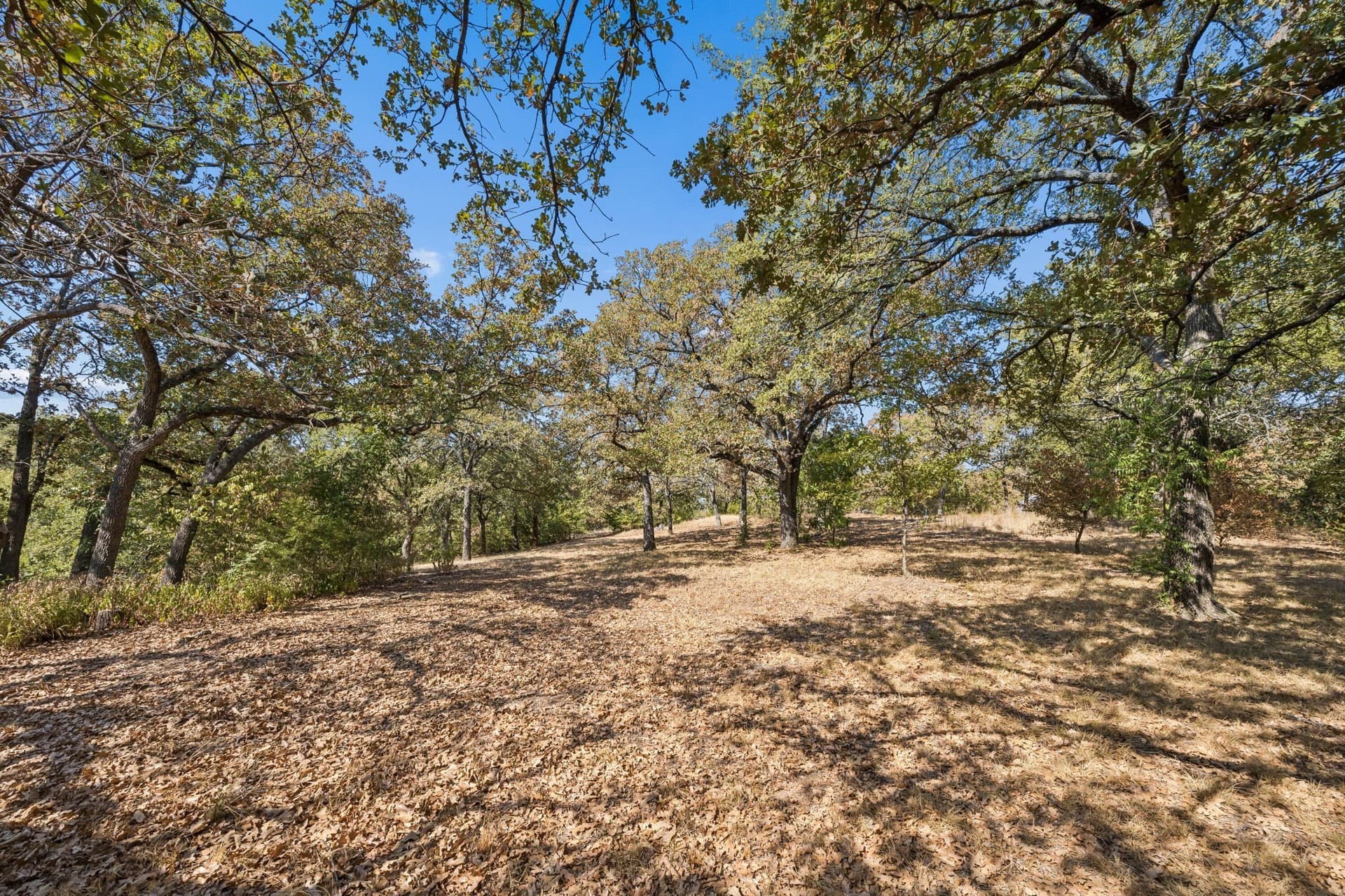 10.63 acres in Denton County - photo 25