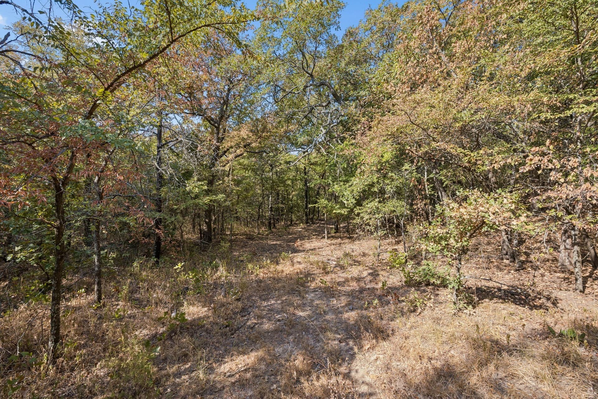 10.63 acres in Denton County - photo 17