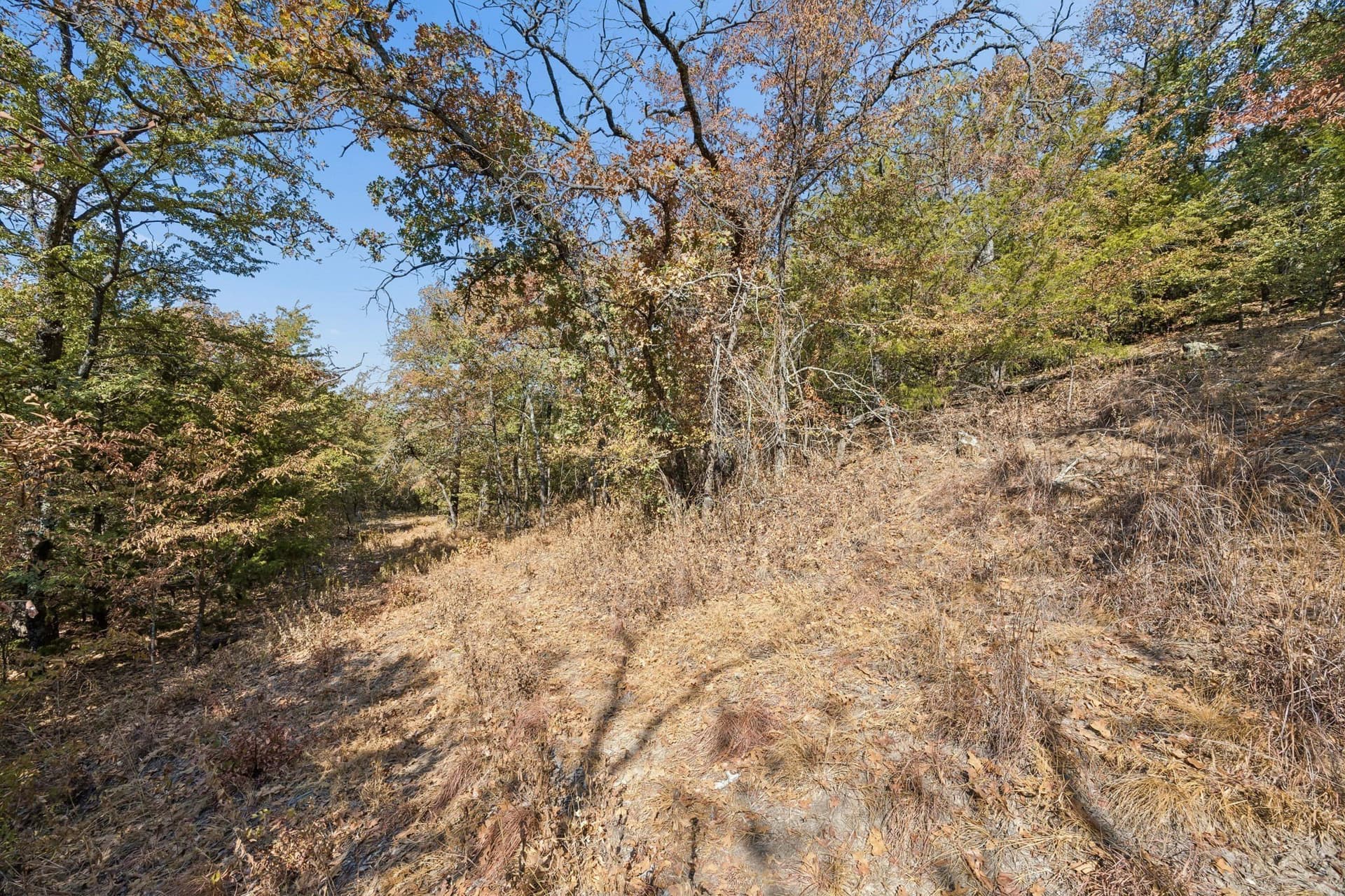 10.63 acres in Denton County - photo 23