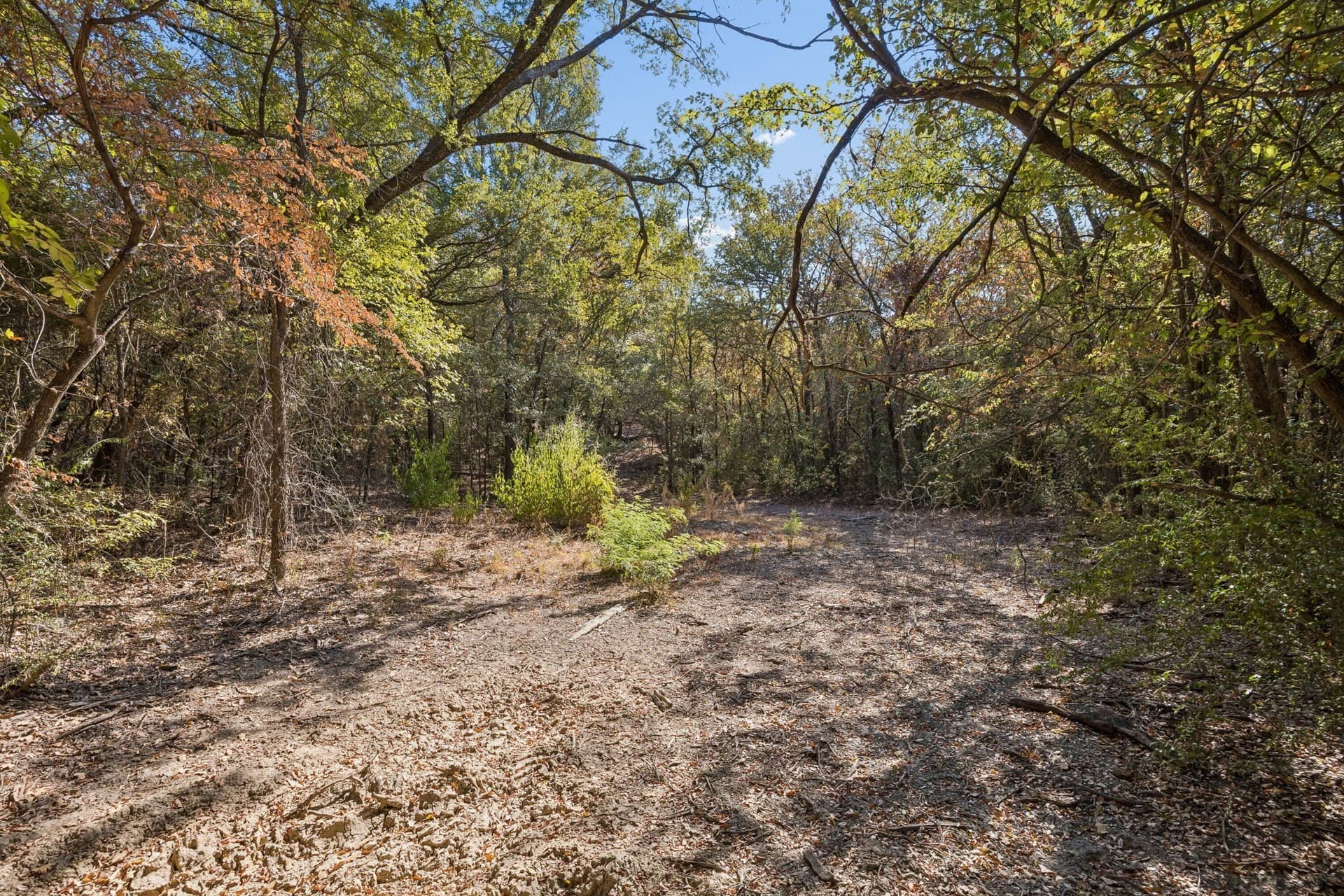 10.63 acres in Denton County - photo 20