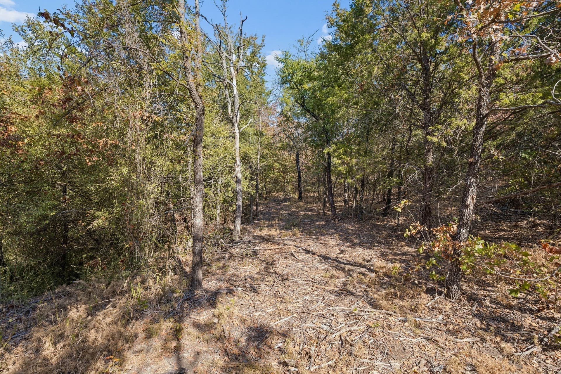 10.63 acres in Denton County - photo 21