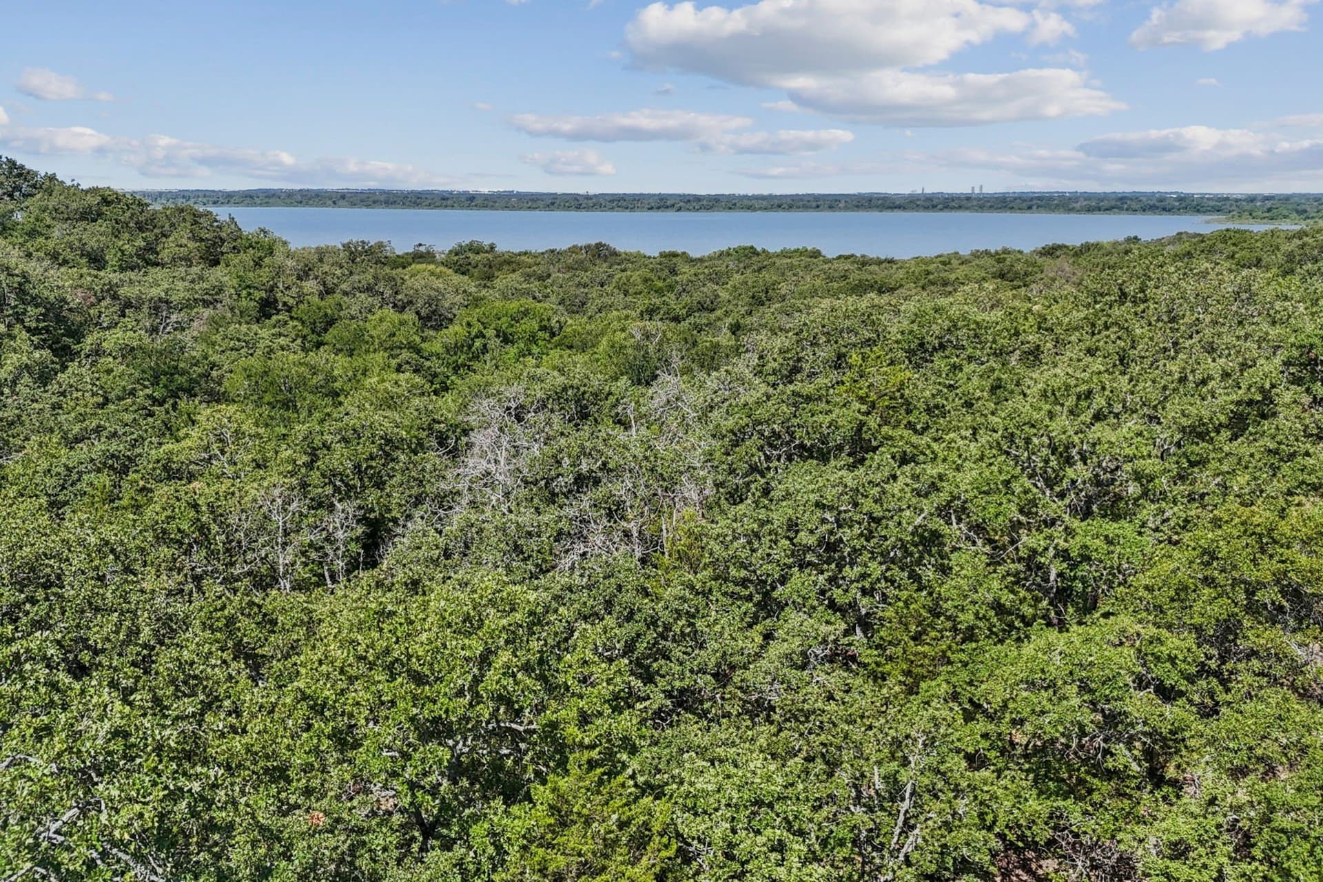 10.63 acres in Denton County - photo 11