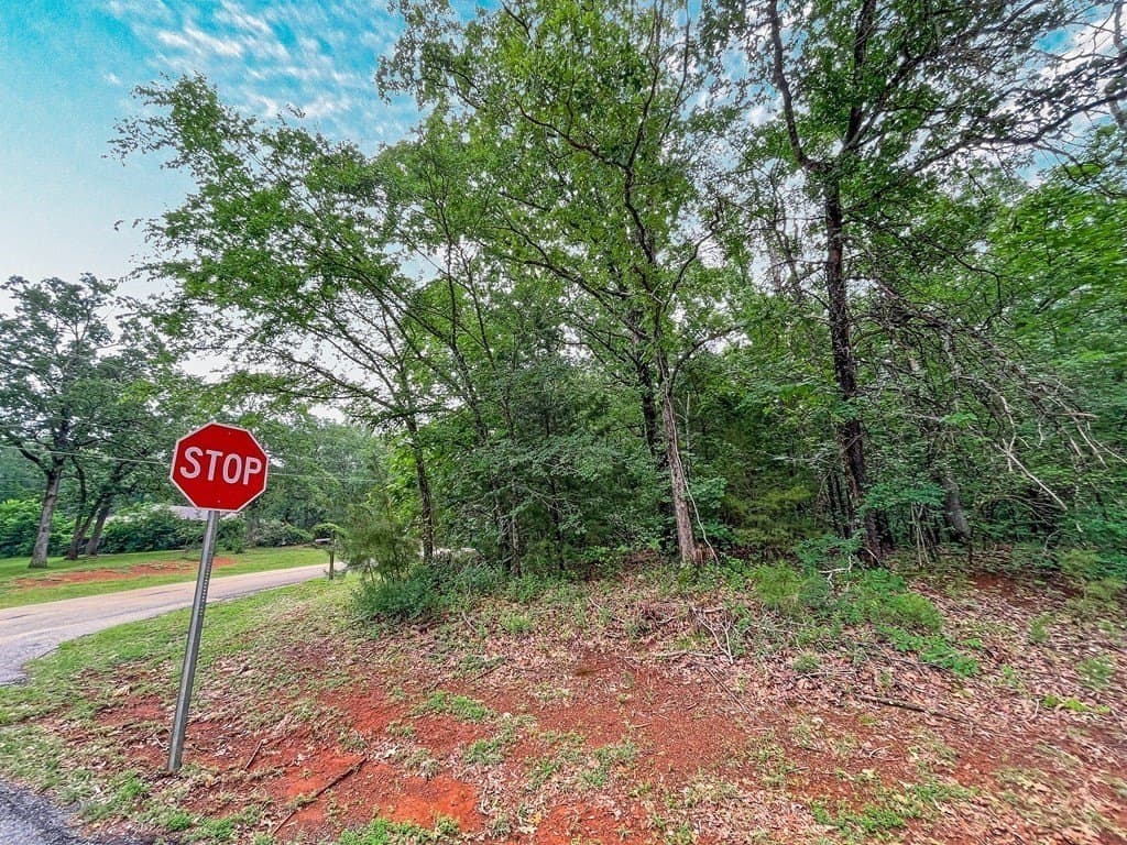 1.5 acres in ANDERSON County gallery image 4