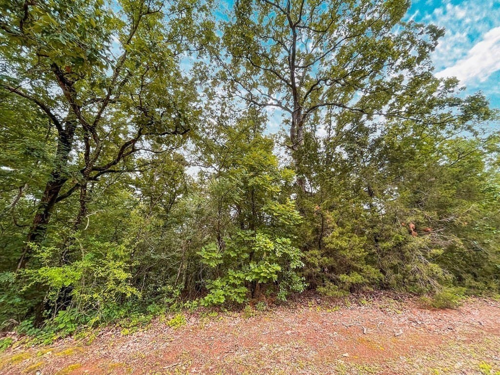 1.5 acres in ANDERSON County featured view