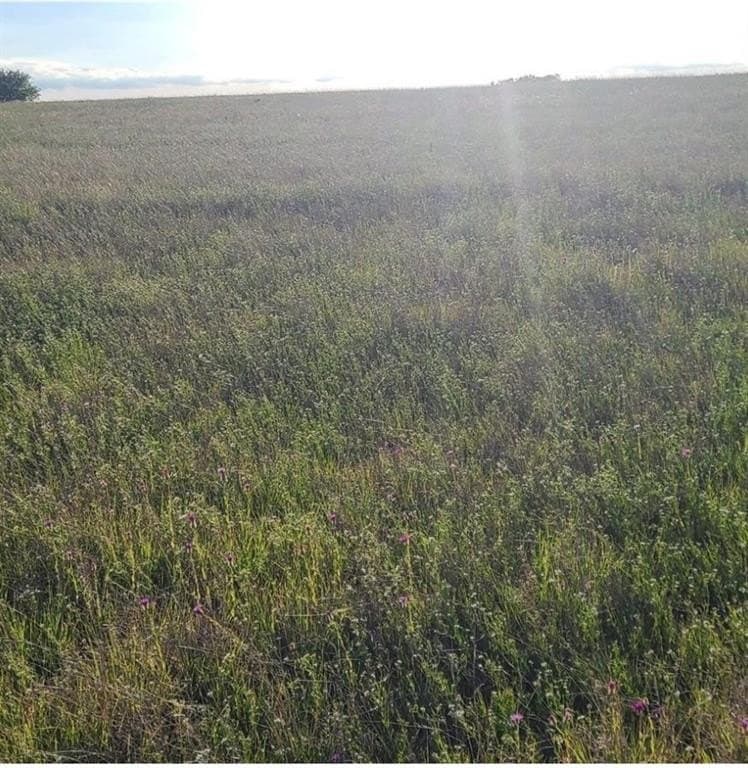 3.63 acres in Hill County gallery image 3