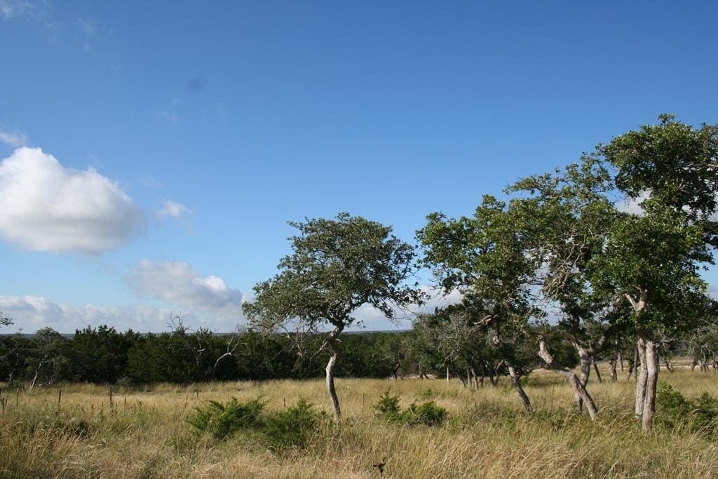 3.54 acres in Gillespie County - photo 4