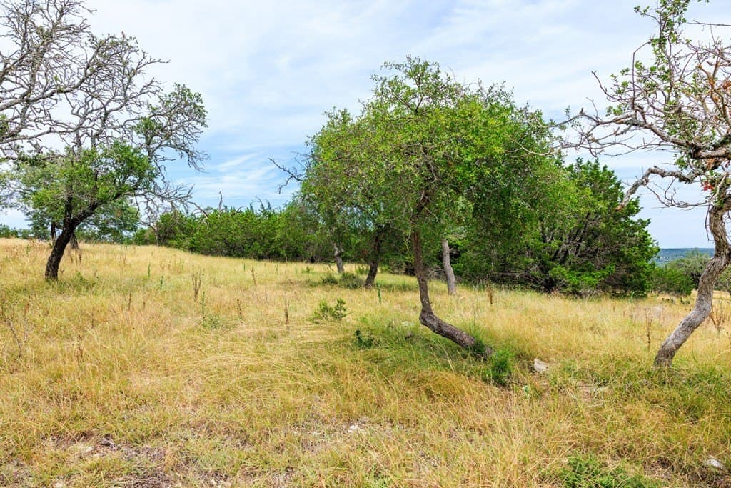 3.54 acres in Gillespie County - photo 9