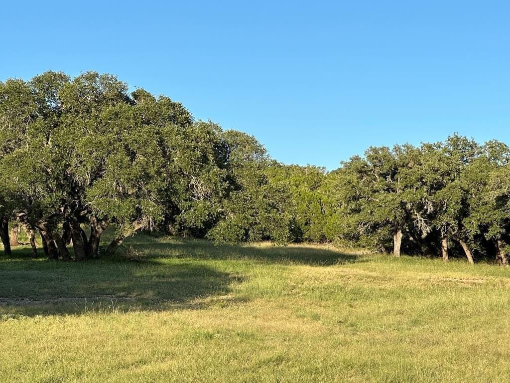 30.19 acres in Kerr County - photo 9