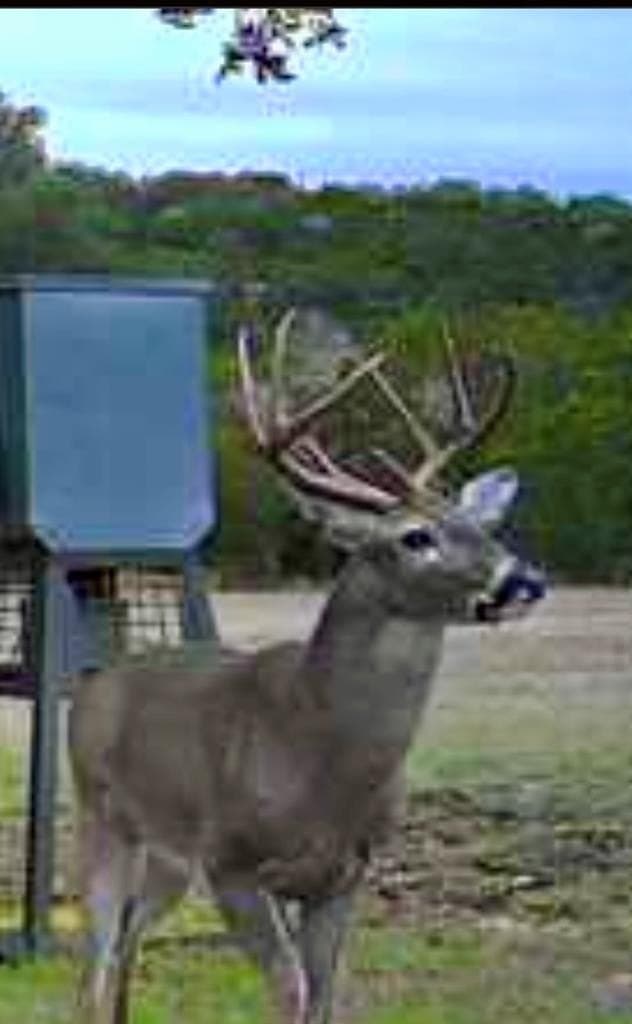 30.19 acres in Kerr County - photo 8