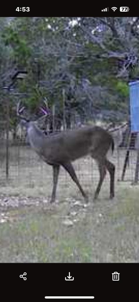 30.19 acres in Kerr County - photo 7