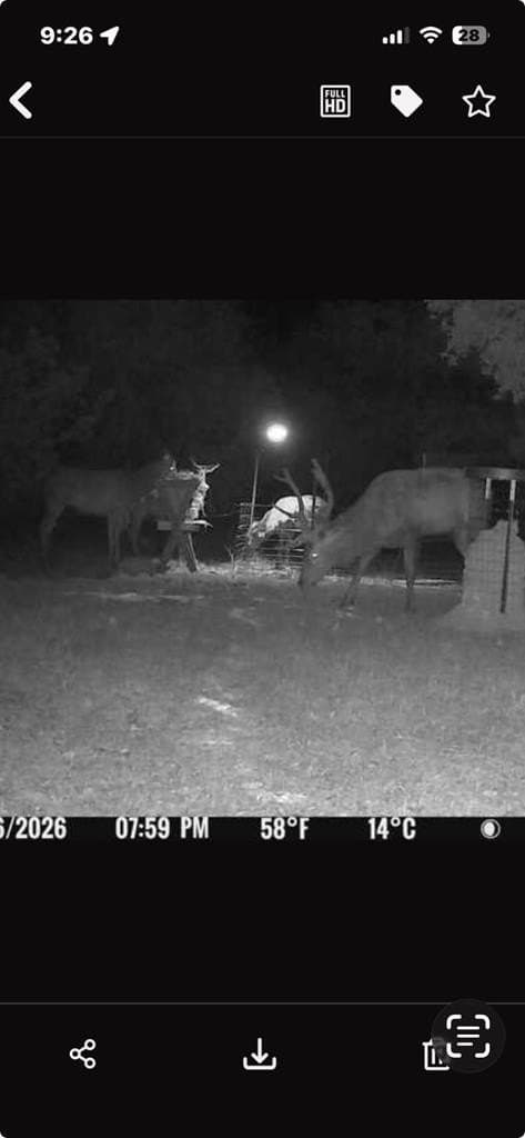 30.19 acres in Kerr County - photo 52