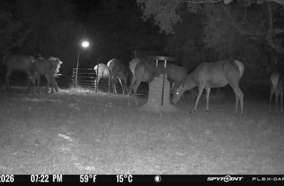 30.19 acres in Kerr County - photo 56