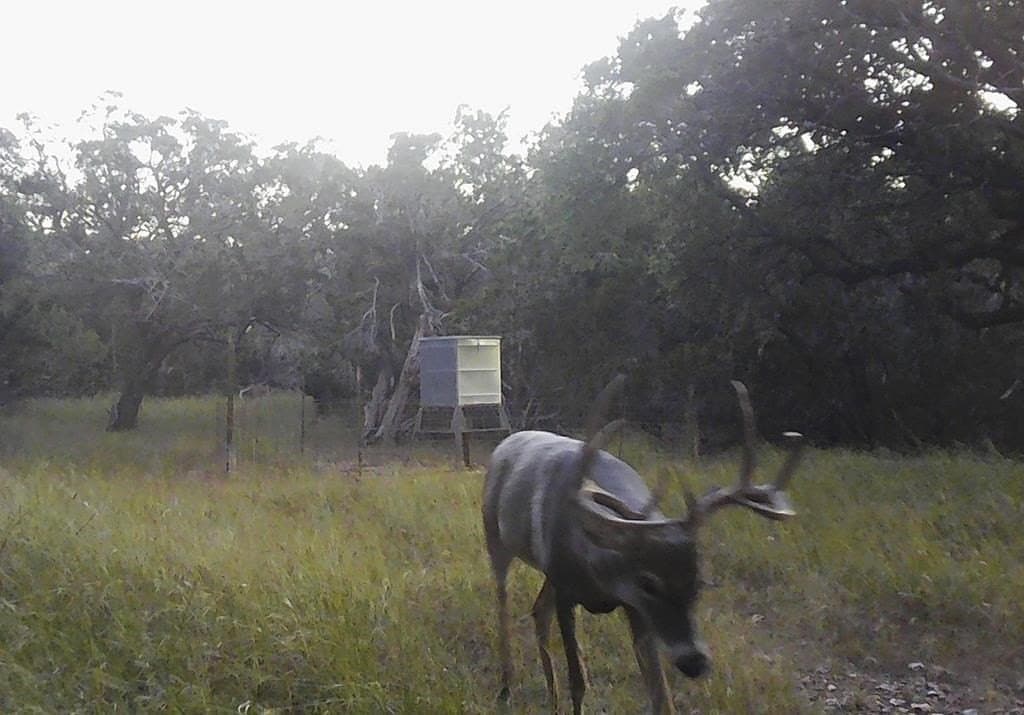 30.19 acres in Kerr County - photo 35