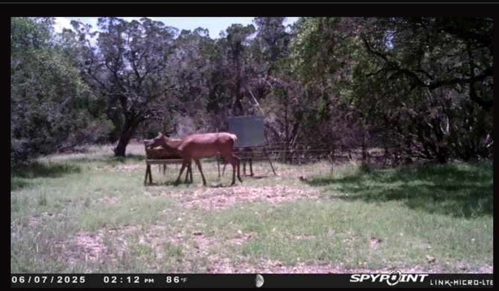 30.19 acres in Kerr County - photo 21
