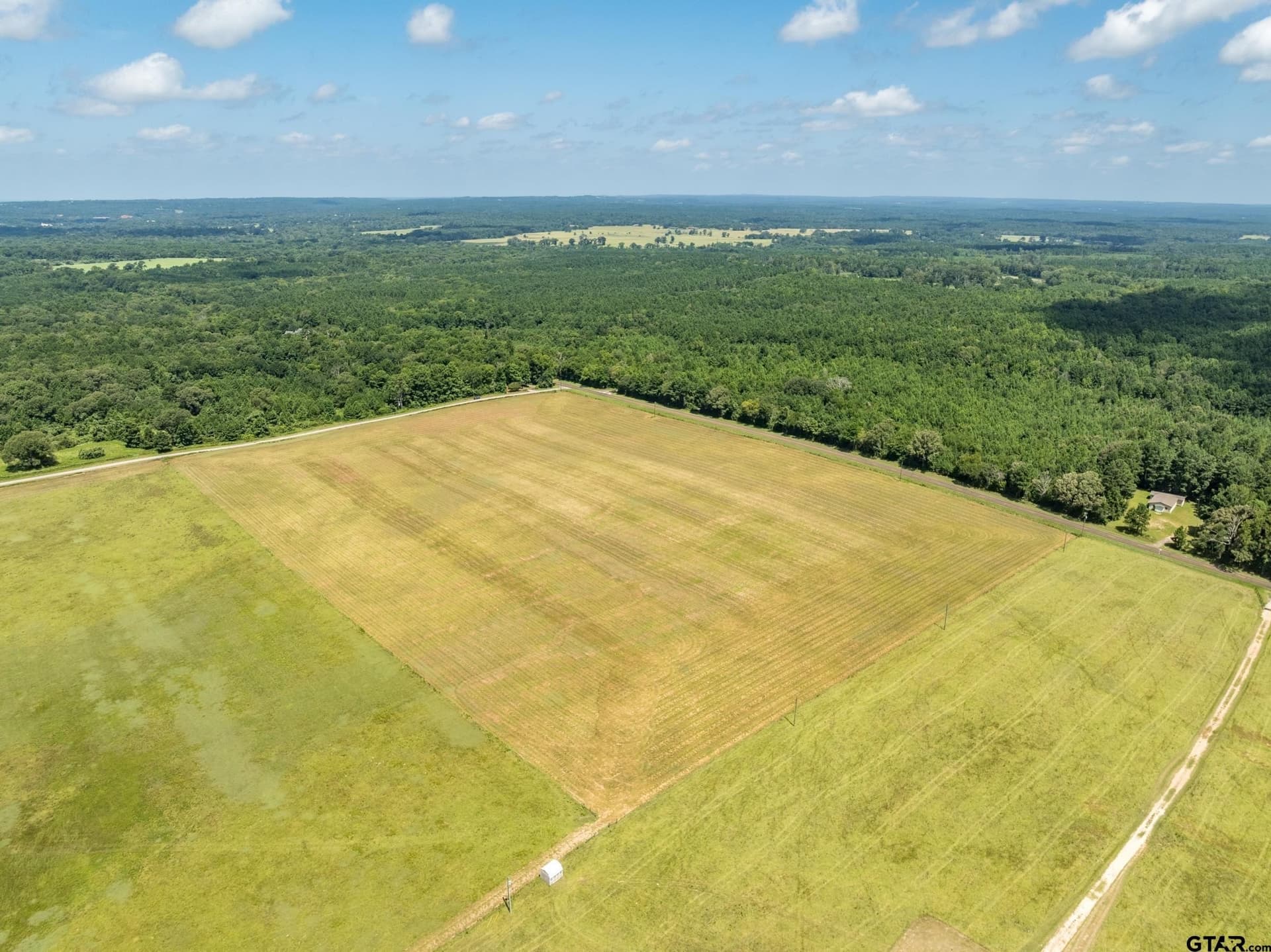 25.09 acres in Anderson County gallery image 4