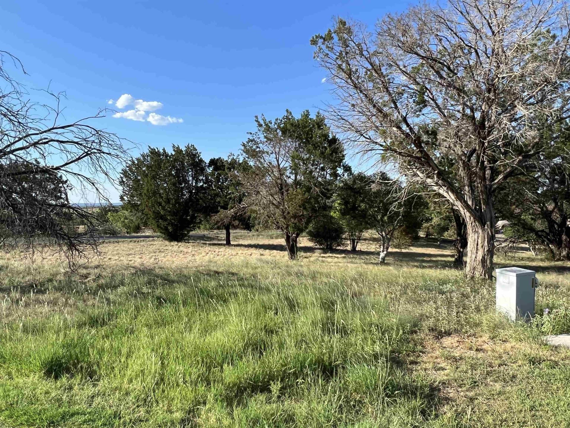 0.27 acres in Llano County gallery image 4