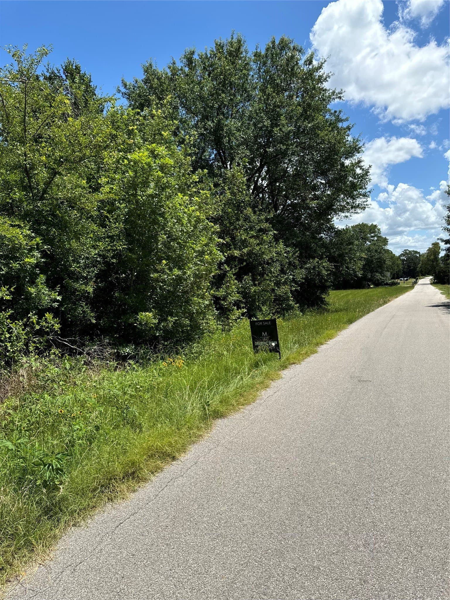 0.23 acres in Henderson County - photo 2