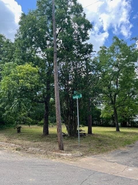 0.2 acres in Lamar County gallery image 3