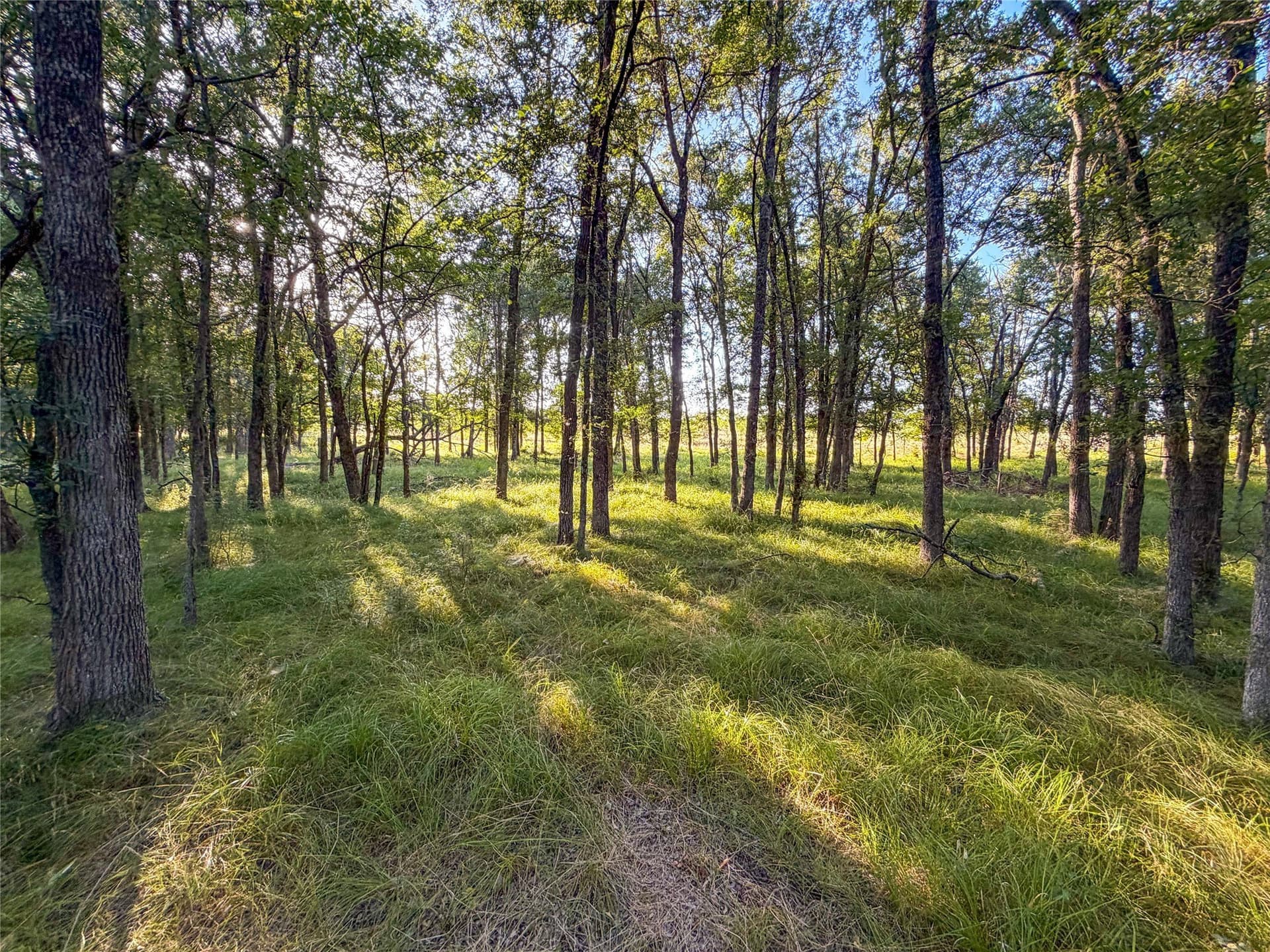 59.42 acres in Hunt County - photo 24