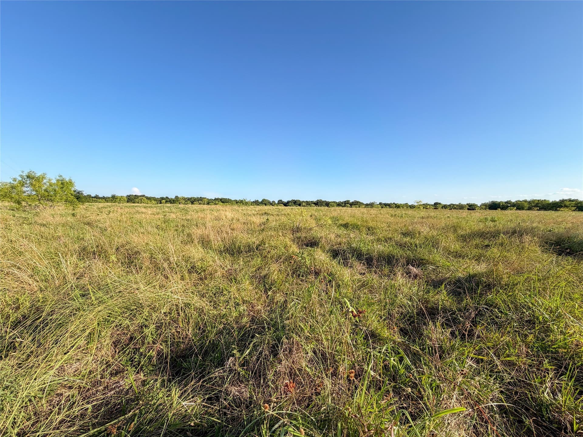 59.42 acres in Hunt County - photo 19
