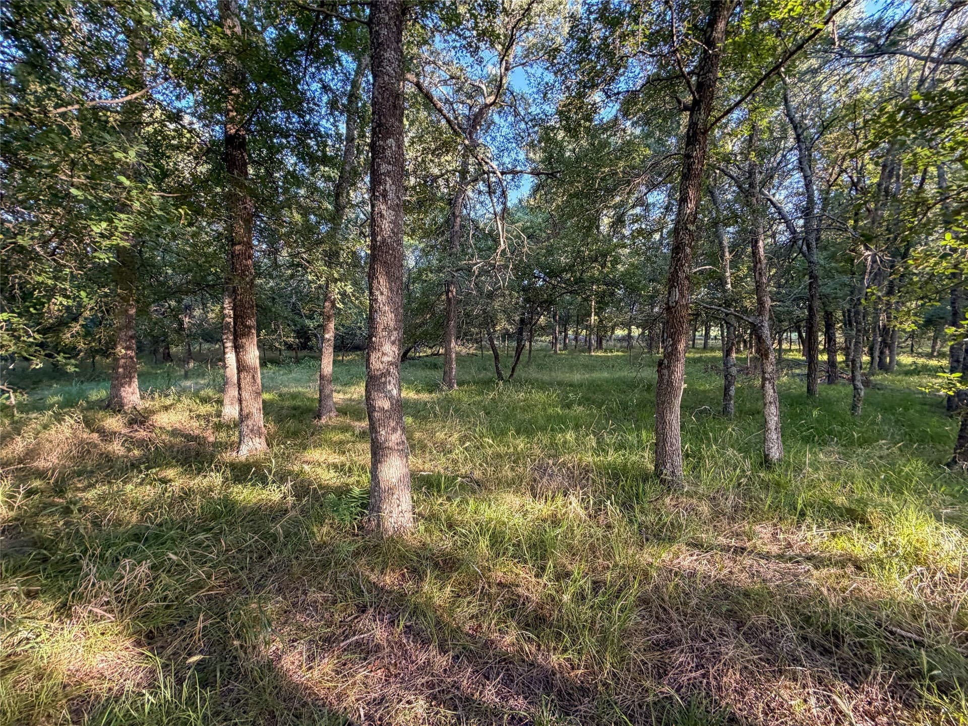 59.42 acres in Hunt County - photo 23