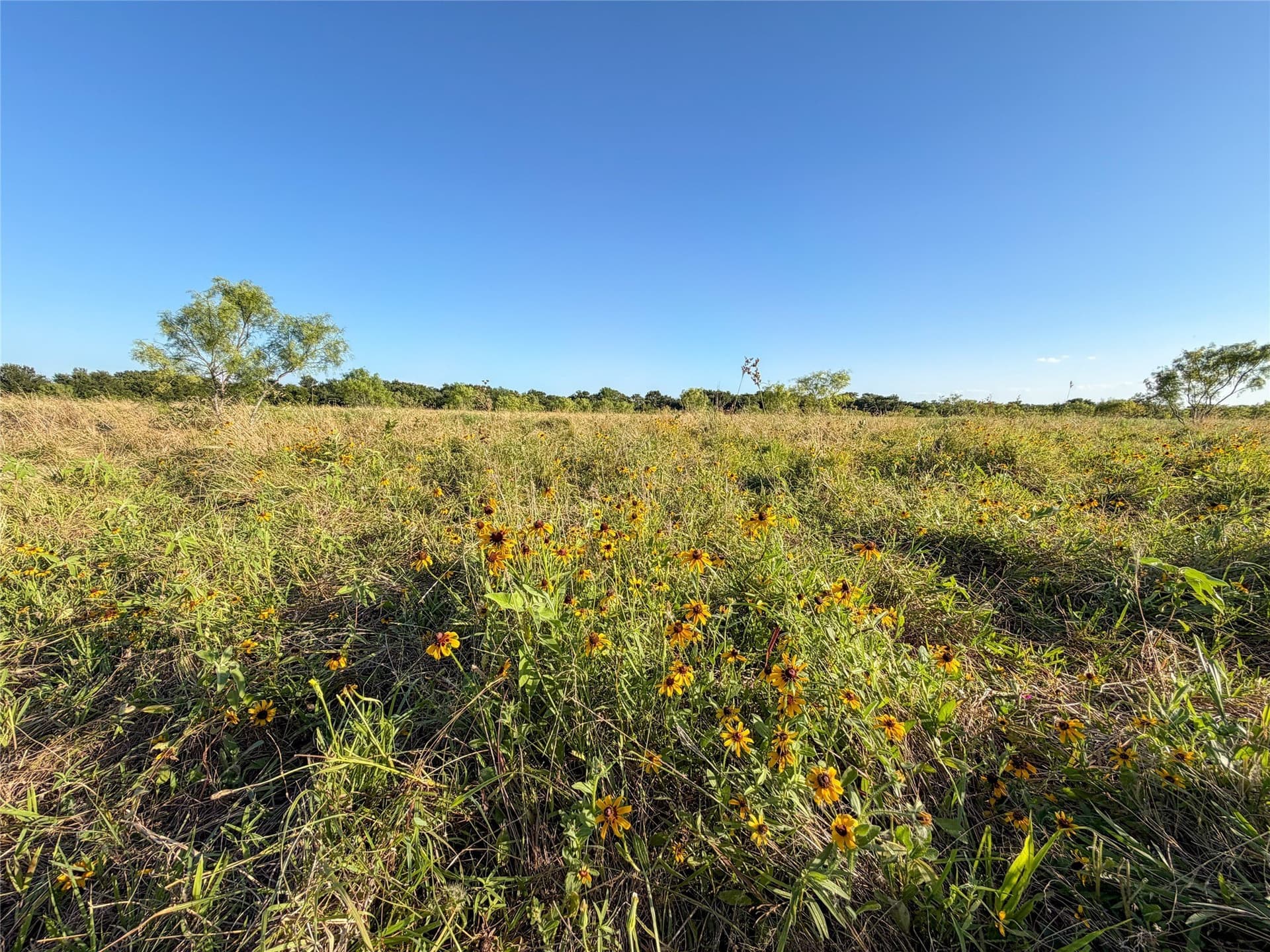 59.42 acres in Hunt County - photo 21