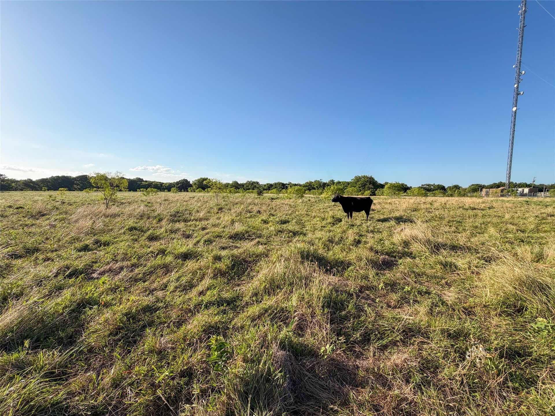59.42 acres in Hunt County - photo 20