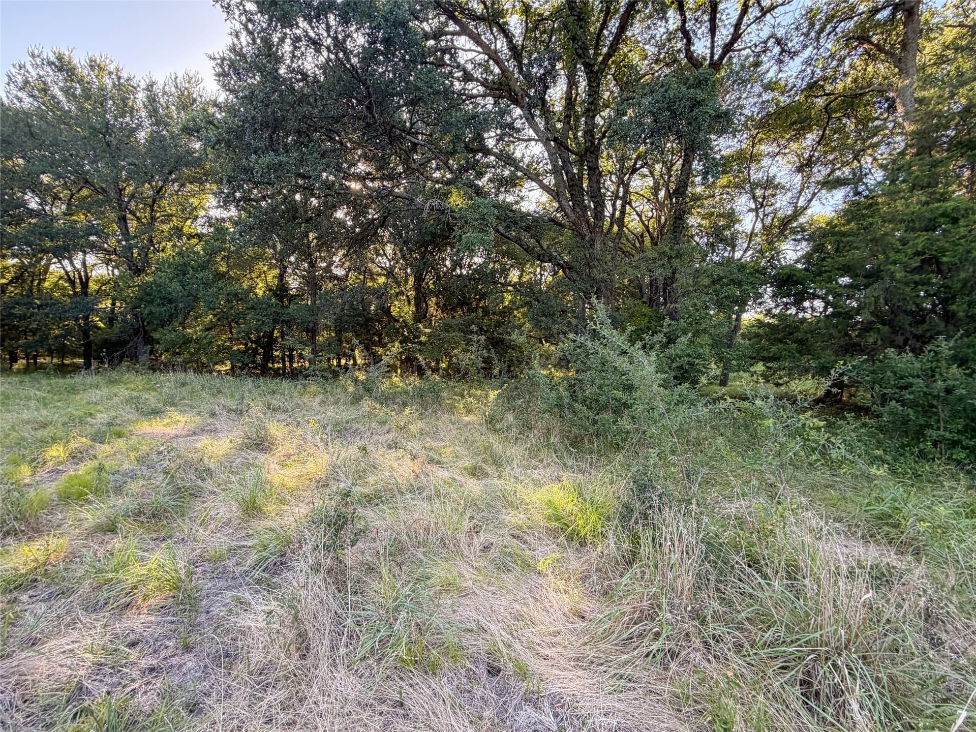 59.42 acres in Hunt County - photo 16