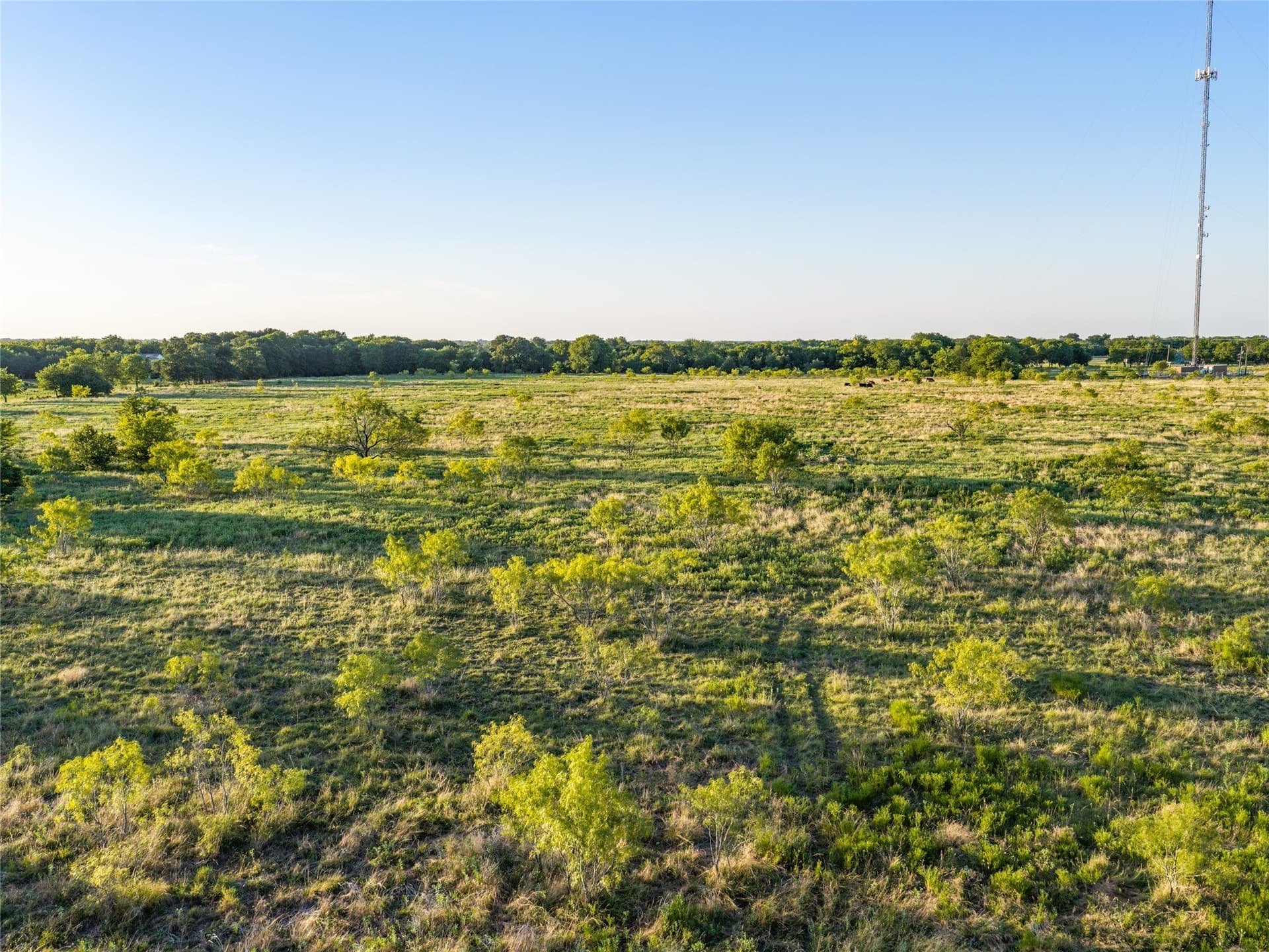 59.42 acres in Hunt County - photo 12