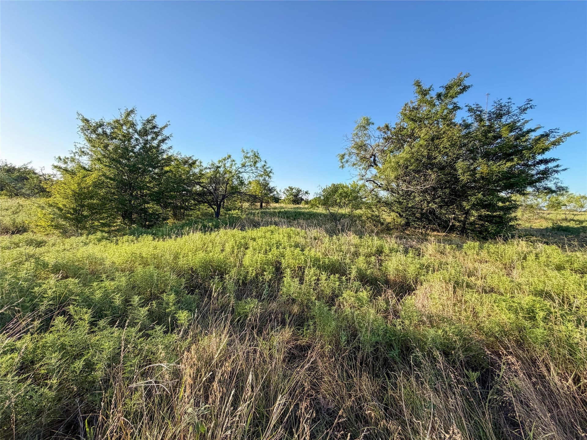 59.42 acres in Hunt County - photo 25