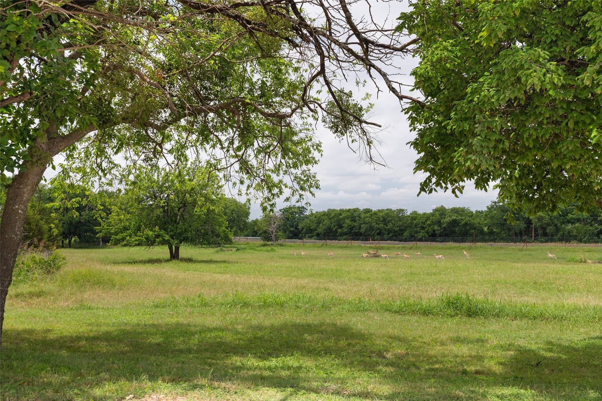 10 acres in Bosque County featured view