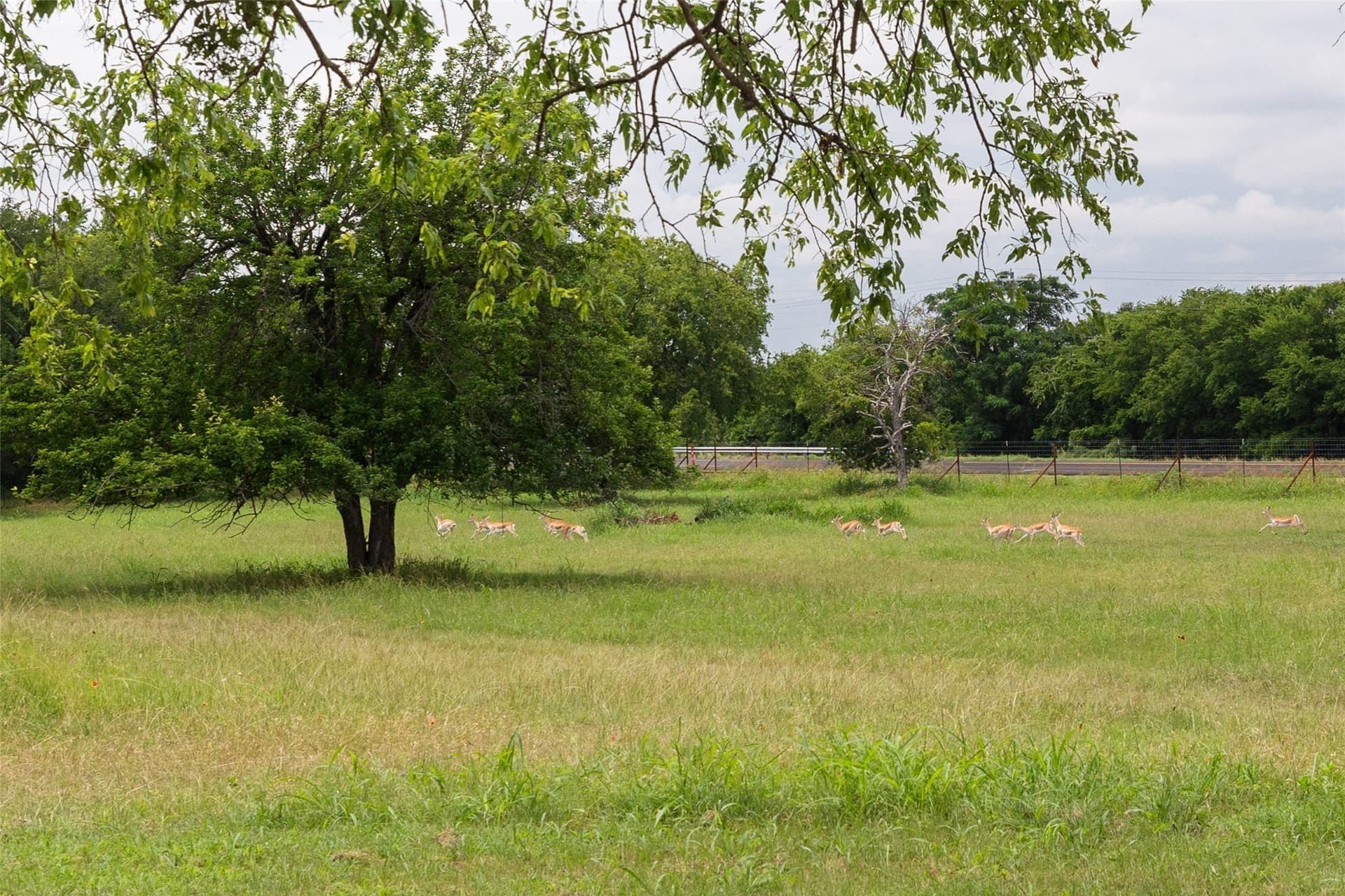 10 acres in Bosque County gallery image 3