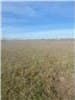 5.67 acres in Falls County - photo 3