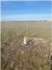 5.67 acres in Falls County - photo 2