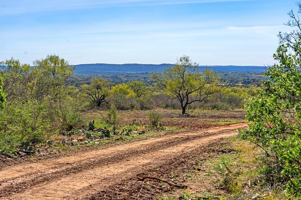 20.1 acres in Mason County gallery image 2