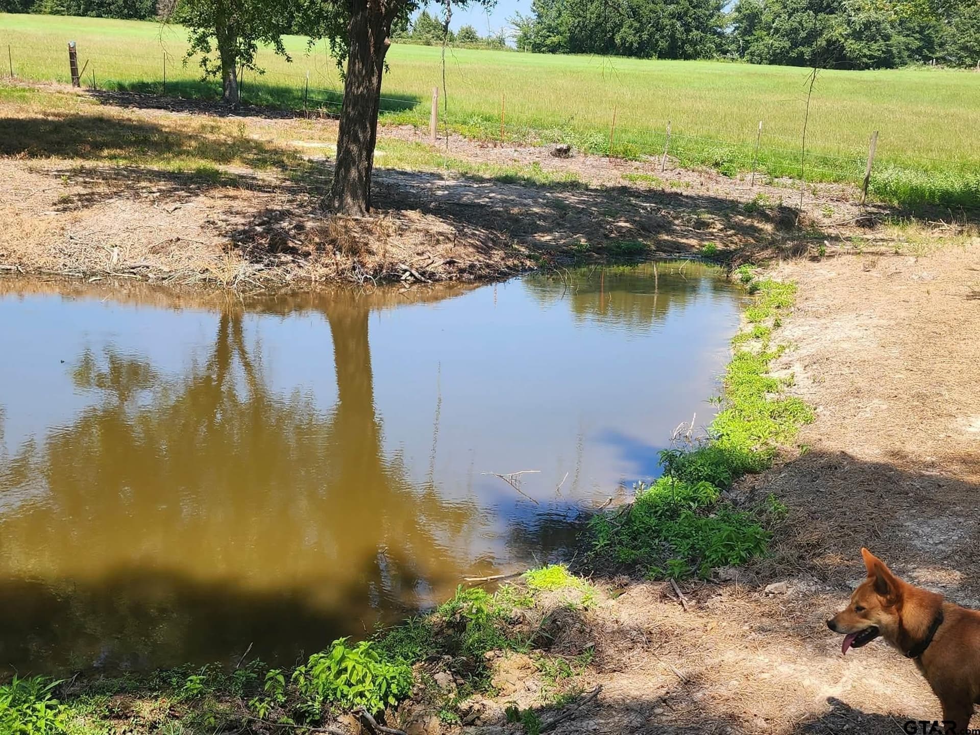 24.58 acres in Henderson County - photo 20