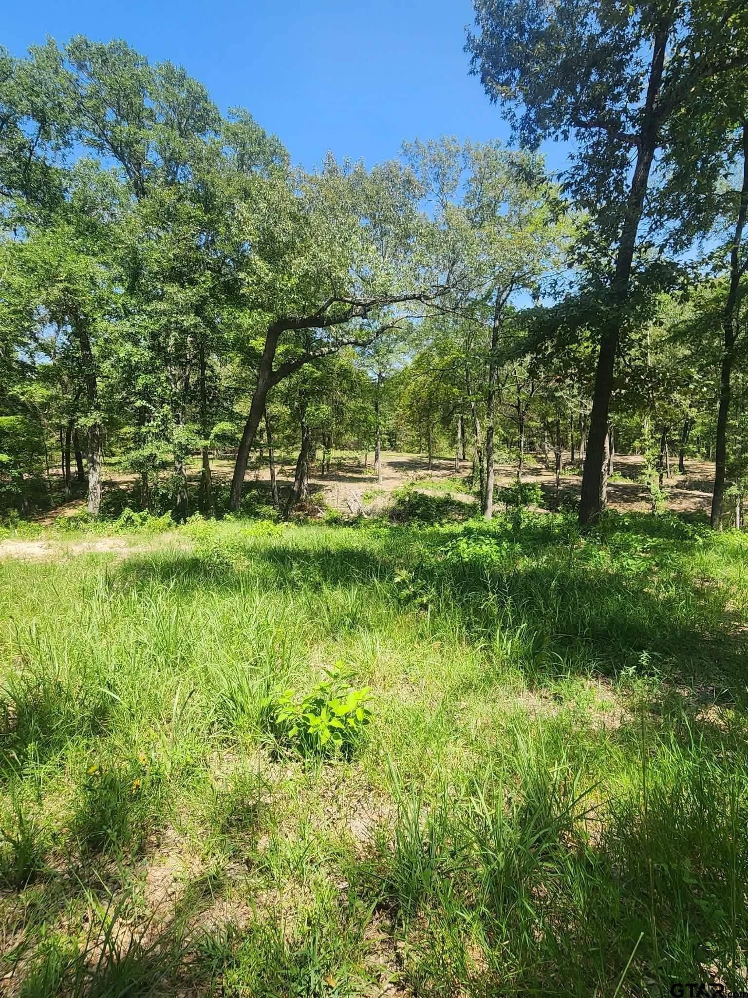 24.58 acres in Henderson County - photo 19