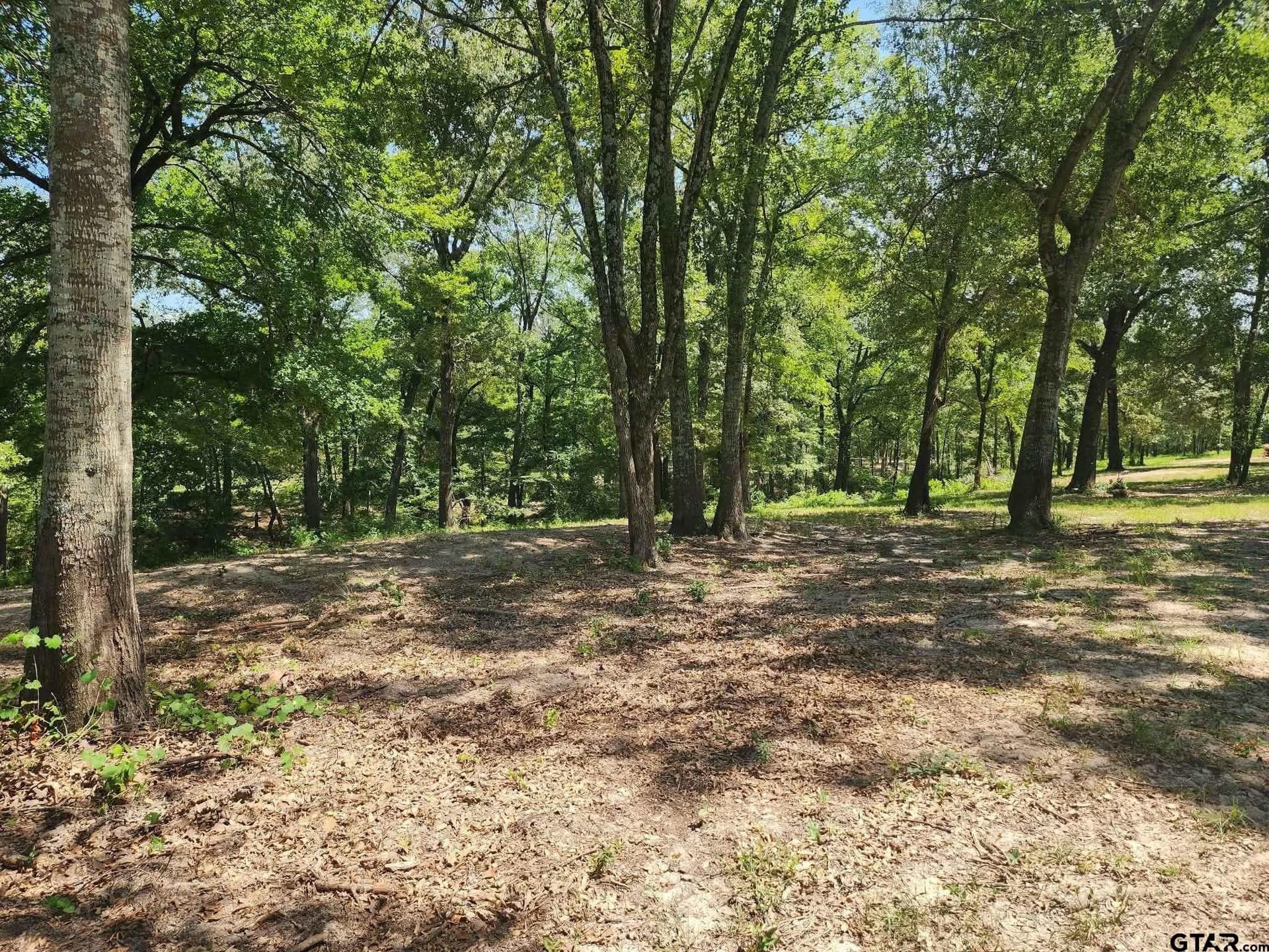 24.58 acres in Henderson County - photo 21